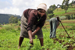 Read more about the article Feeding the less privillege